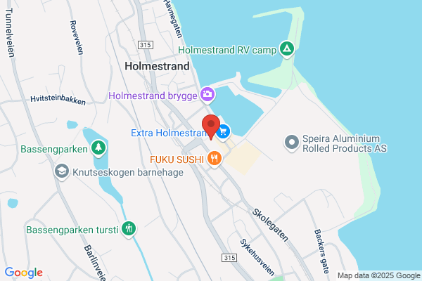 Holmestrand Bibliotek