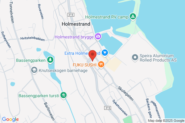 Holmestrand Smådyrklinikk