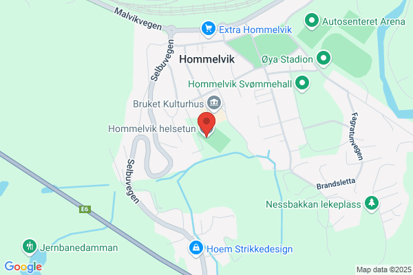 Hommelvik Naturmedisinske Senter