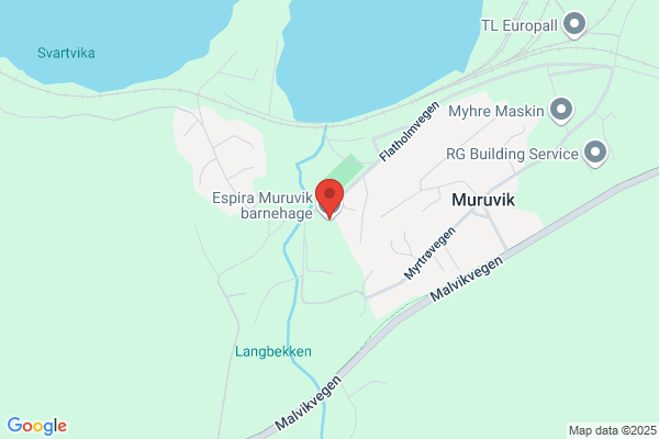 Lervik Kåre