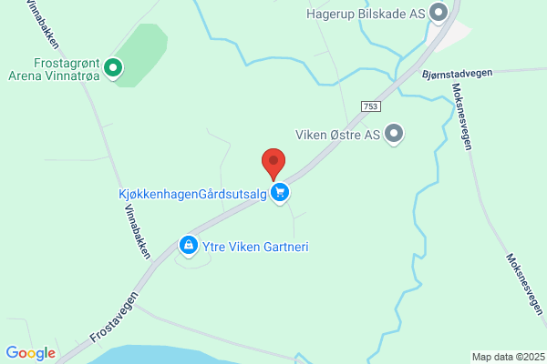 Viken Henrik A/s