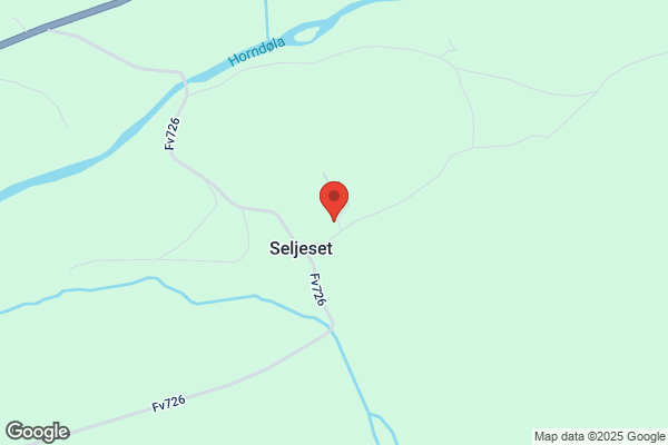 Seljeset Ola Inge