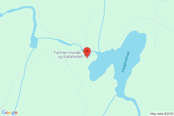 Randsfjorden Hunde Og Kattehotell