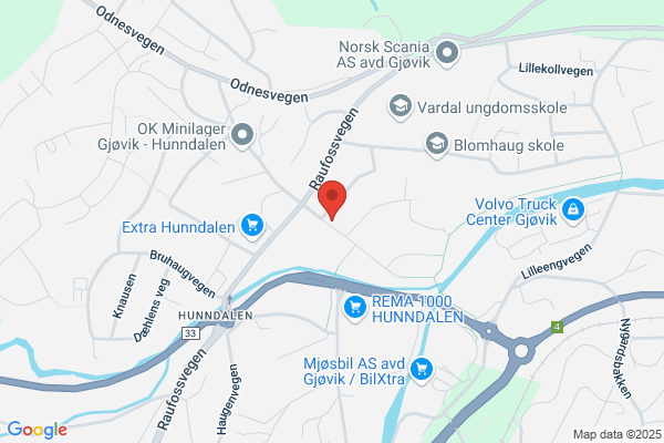 Landsorganisasjonen I Norge