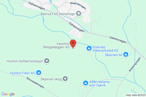 Vazelina Bilopphøggeri As