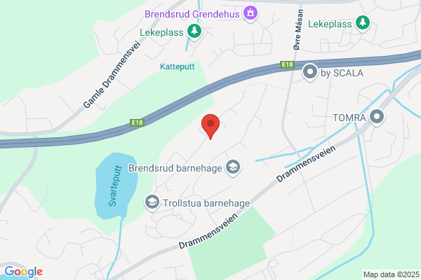 Blomgraff Bente E