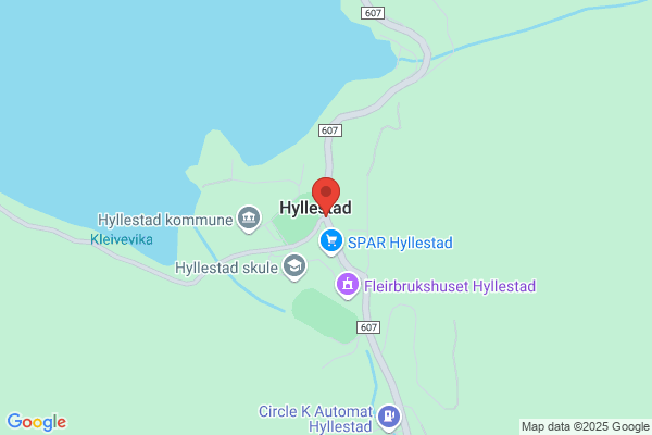 Hyllestad Taxi