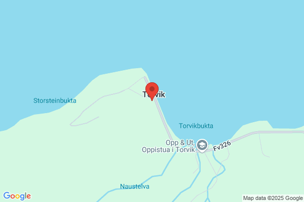 Torvik Trevare As