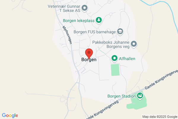 Borgen Arnt As