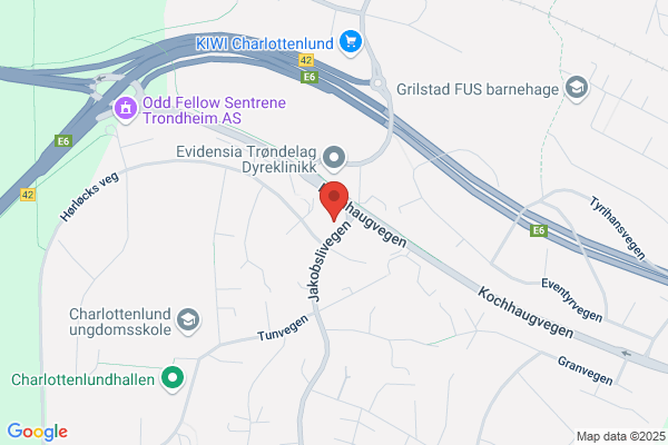 Trondheim Tannlegesenter