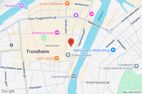 Norsk Lyd Og Blindeskriftbibliotek Trondheim