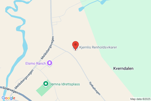 Kjernlis Renholdsvikarer
