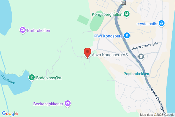 Asvo-kongsberg As