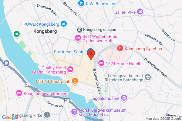 Teleservice Kongsberg As