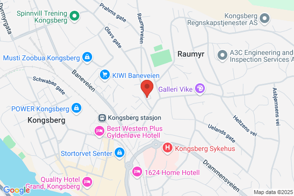Regnskapsdata Kongsberg As