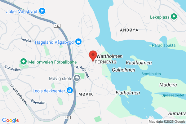 Ternevig