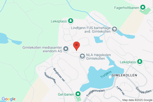 Vikstøl Vidar