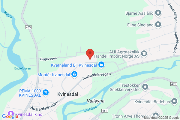 Birkedal Bilskade