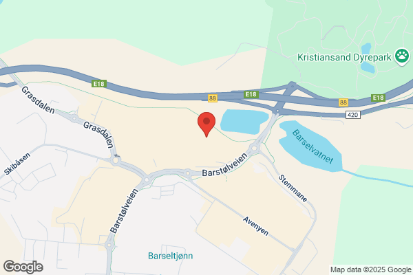 Berglihn T (mestergull)