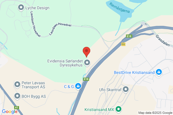 Holst Silketrykkeri As
