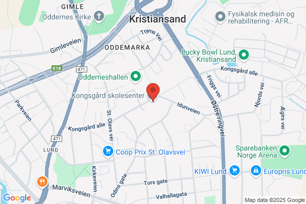 Lese Og Skriveutvikling As
