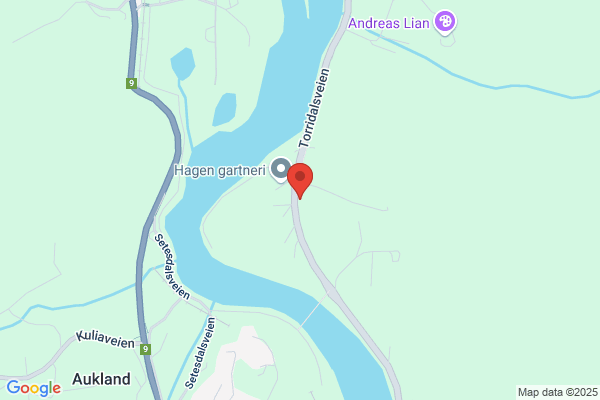 Røinås Fyringsservice AS