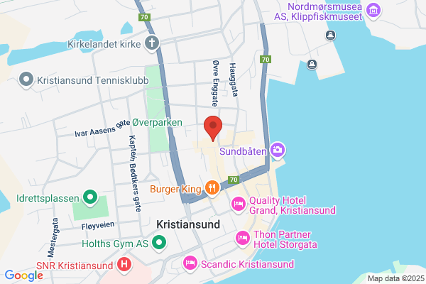 Hoem-gruppen