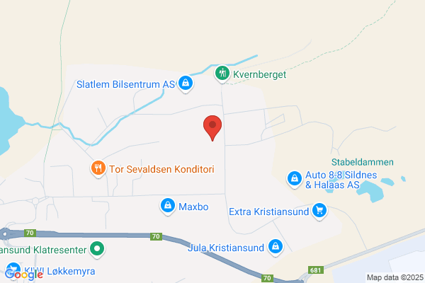 Linjegods As