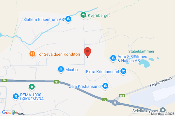 Expresstrykkeriet Og Reklameservice A/s