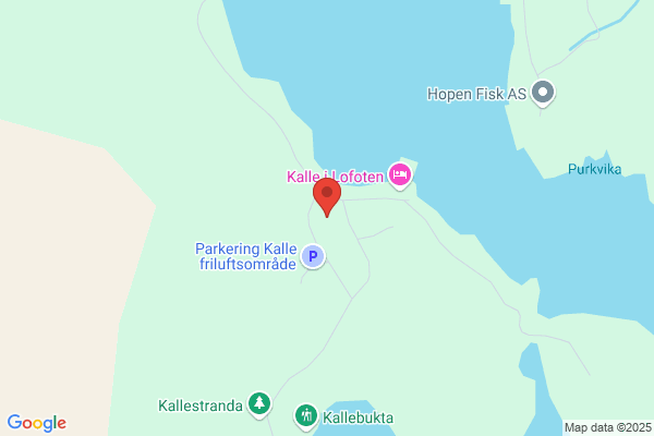 Gamle Lofotferga