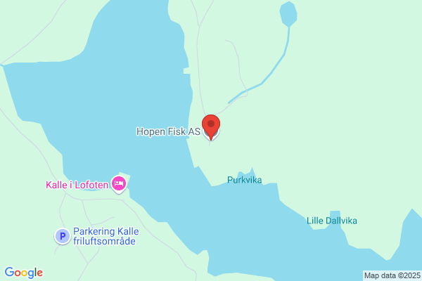Hopen Fisk & Sild As