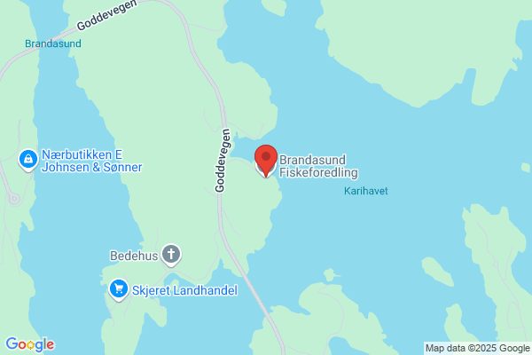 Grunnfarnes Fiskeindustri As