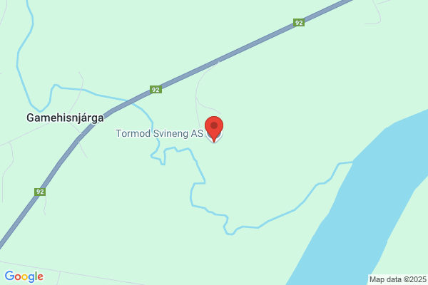 Svineng Tormod