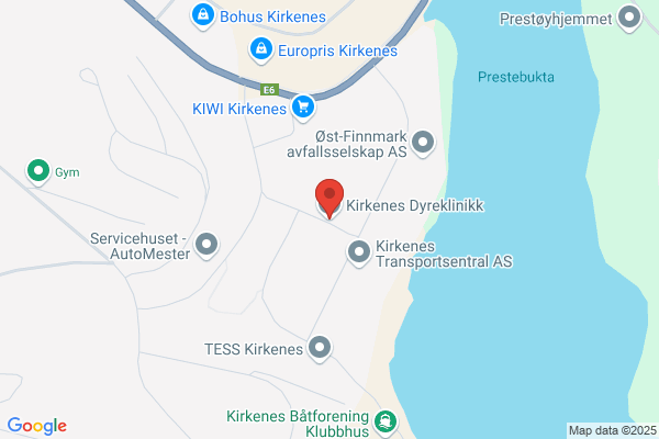 Dyrlegene I Kirkenes