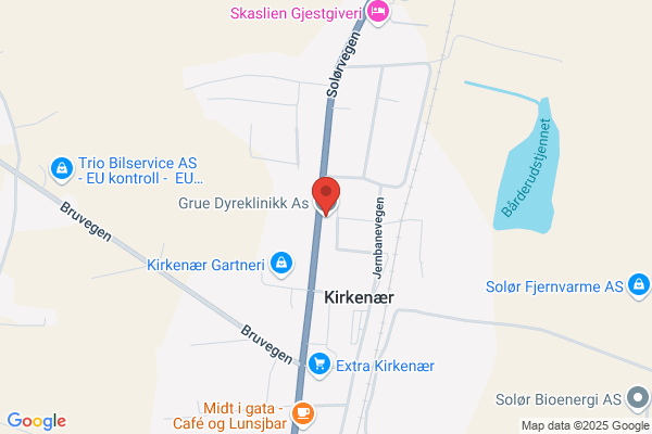 Grue Dyreklinikk