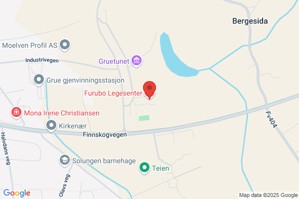 Kommuneleger I Grue