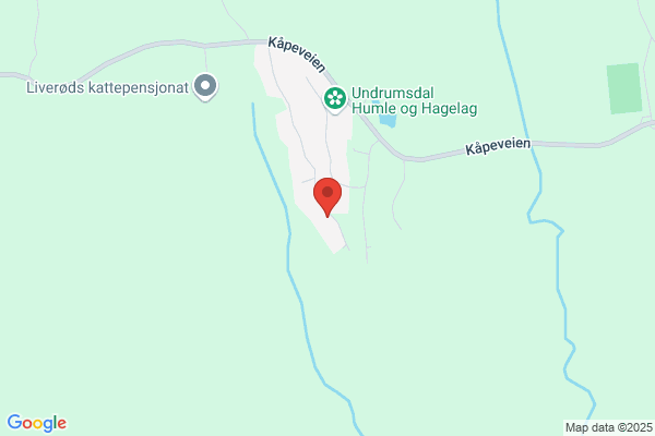 Vanebo Forlag As