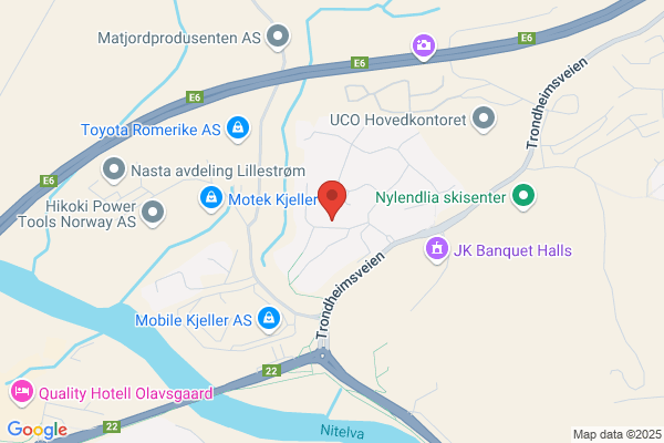 Dagnys Skrivetjeneste