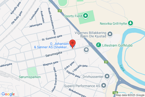 Dine Økonomer As