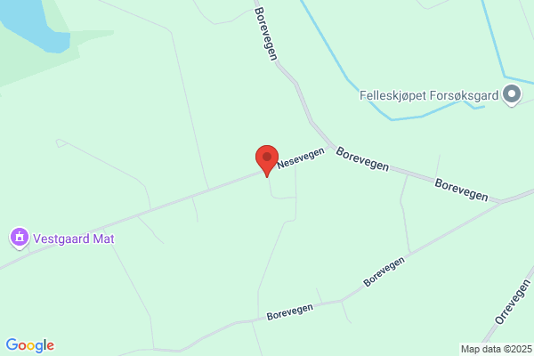 Fjogstad Gunnleif Maskin
