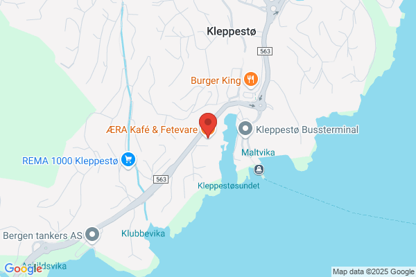 Aetat Kleppestø