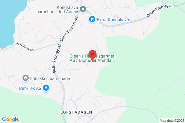 Olsen's Handelsgartneri As