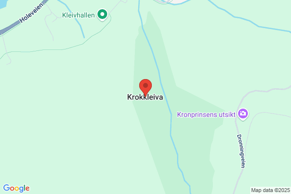 Weisteen Anne Mjellekås