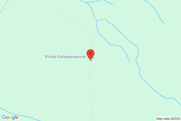 Kvaløya Kattepensjonat
