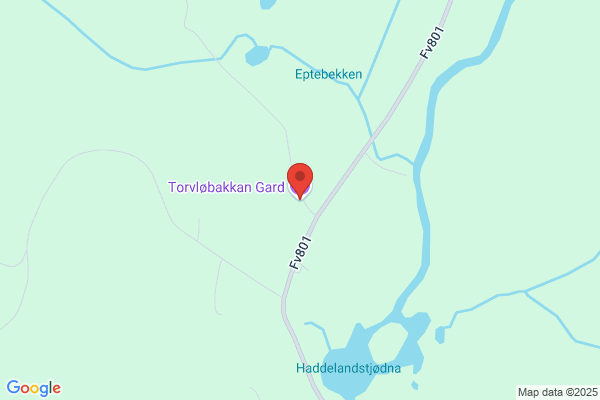 Torvløbakkan Gard