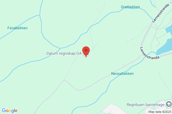 Dalum Regnskap Ans
