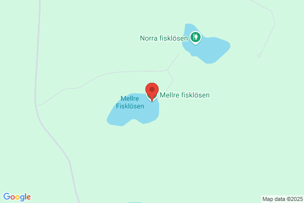 Møbel-fiske