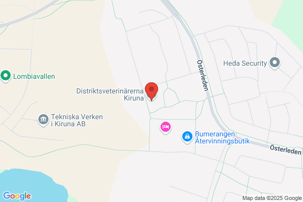 VeterinÆrvakta