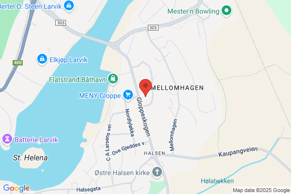 Viola Blomster Senter As