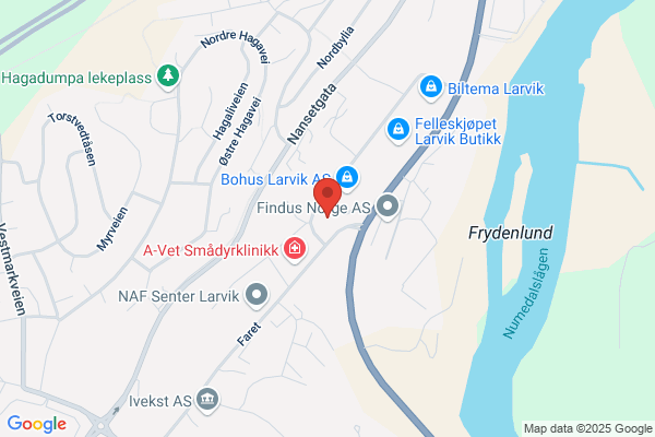 Mørk Knut